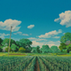 Image for article titled The Timeless Beauty Of Studio Ghibli's Movies